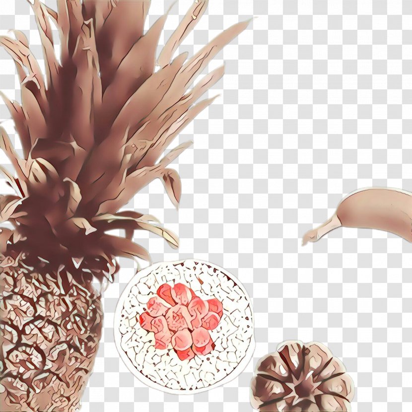 Pineapple - Peach - Flower Transparent PNG