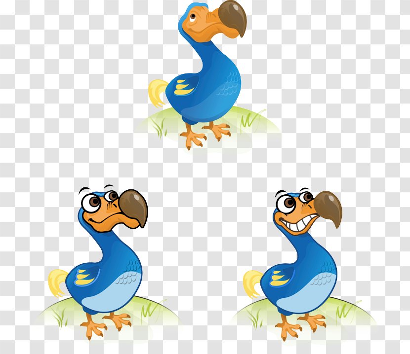 Duck Bird Dodo Cygnini Goose - Creative Illustrations Transparent PNG