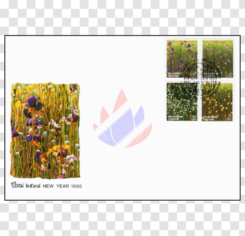 Petal Meadow Floral Design Pattern - Flowering Plant Transparent PNG
