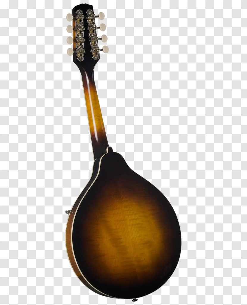 Mandolin Musical Instruments Sunburst Amazon.com F-lyuk - Watercolor Transparent PNG