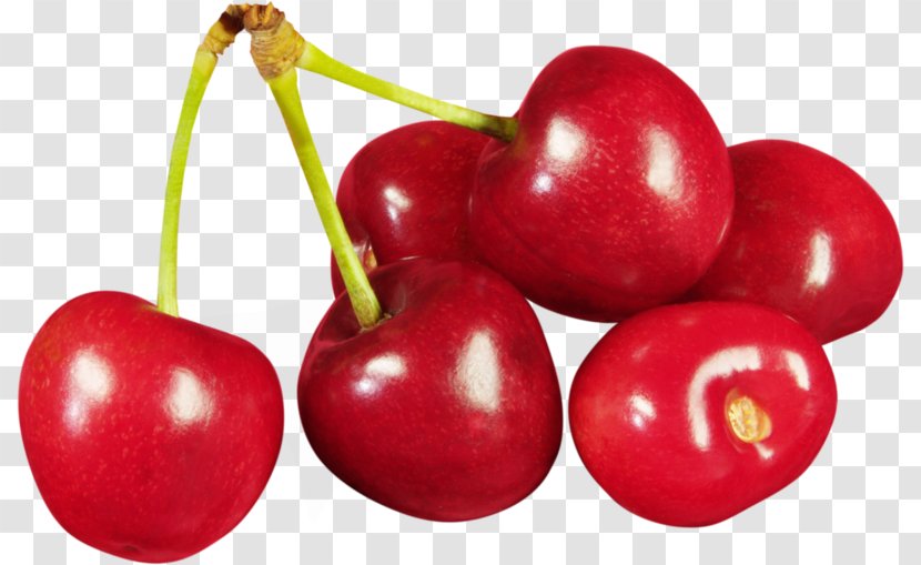 Cherry Fruit Clip Art - Boar Transparent PNG