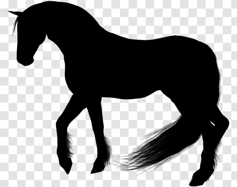 Silhouette Mane Mustang Pony Stallion - Mare - Livestock Liver Transparent PNG