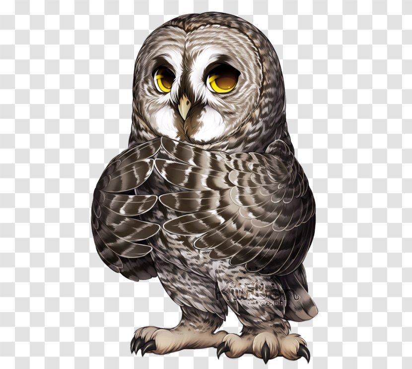 Great Horned Owl Bird Of Prey Snowy - Animal - J Rock Mr448 Transparent PNG