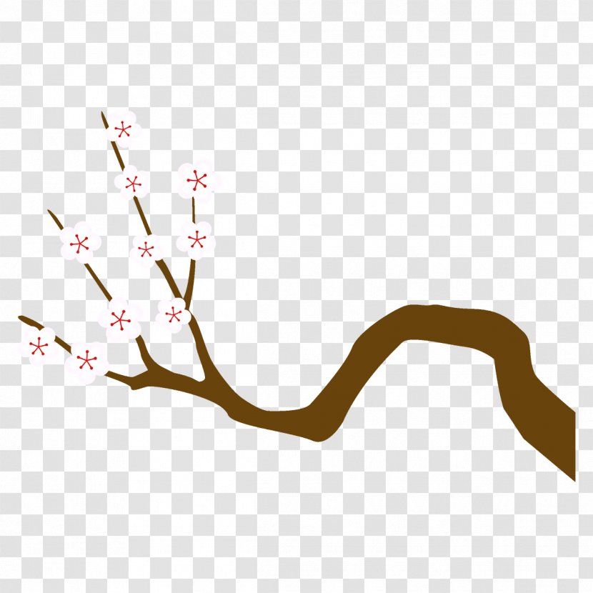 Cherry Blossom - Flower - Plant Stem Tree Transparent PNG