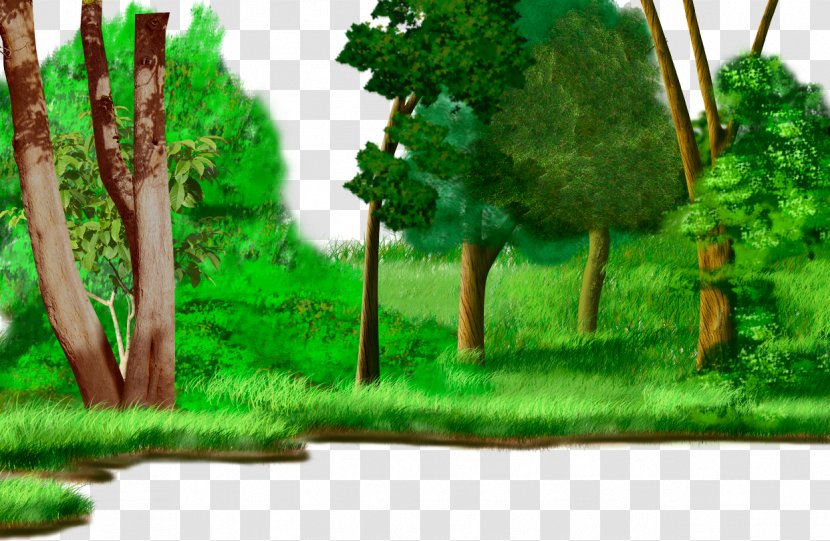 Forest Drawing Cartoon Animation Watercolor Painting - Painted Grassland Plants Transparent PNG