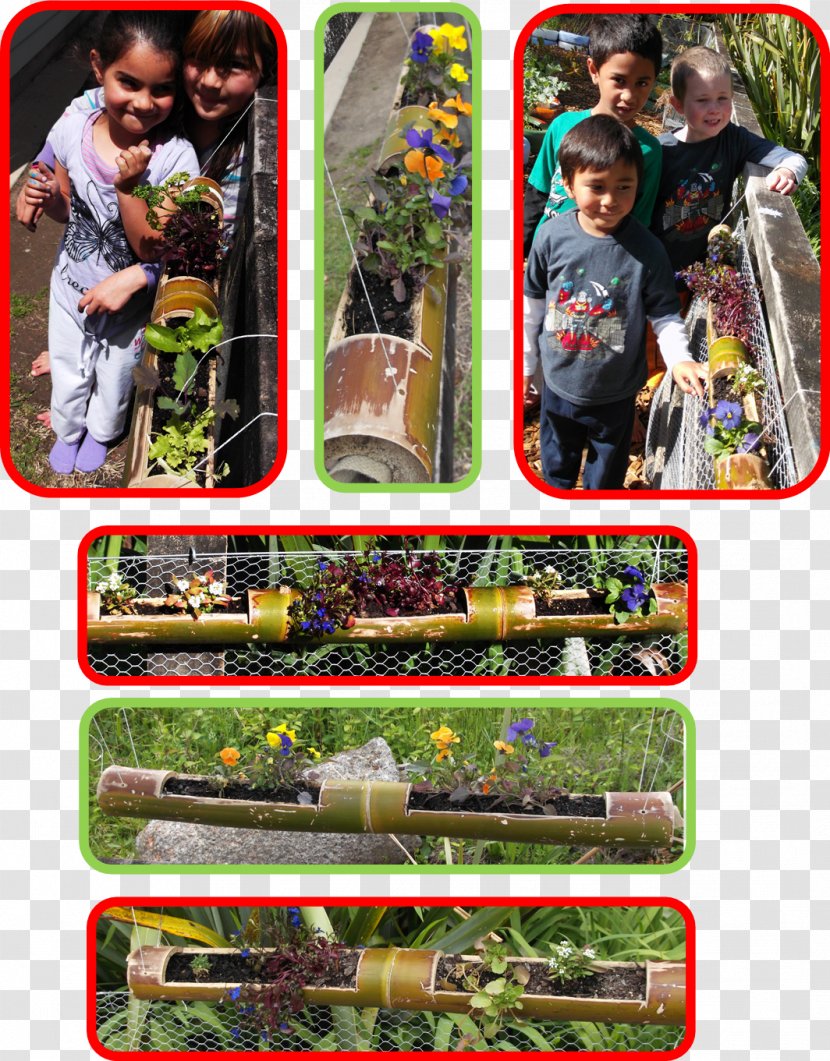 Karetu School Gardening TUI Group Tracey Dee - Photomontage - Bamboo Fence Transparent PNG