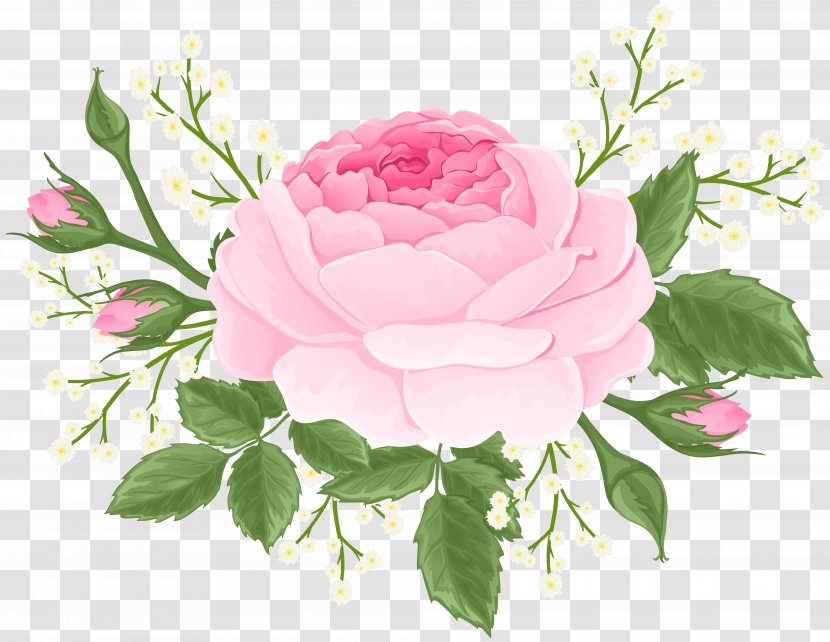 Pink Rose With White Flowers Clip Art Image - Floral Design Transparent PNG