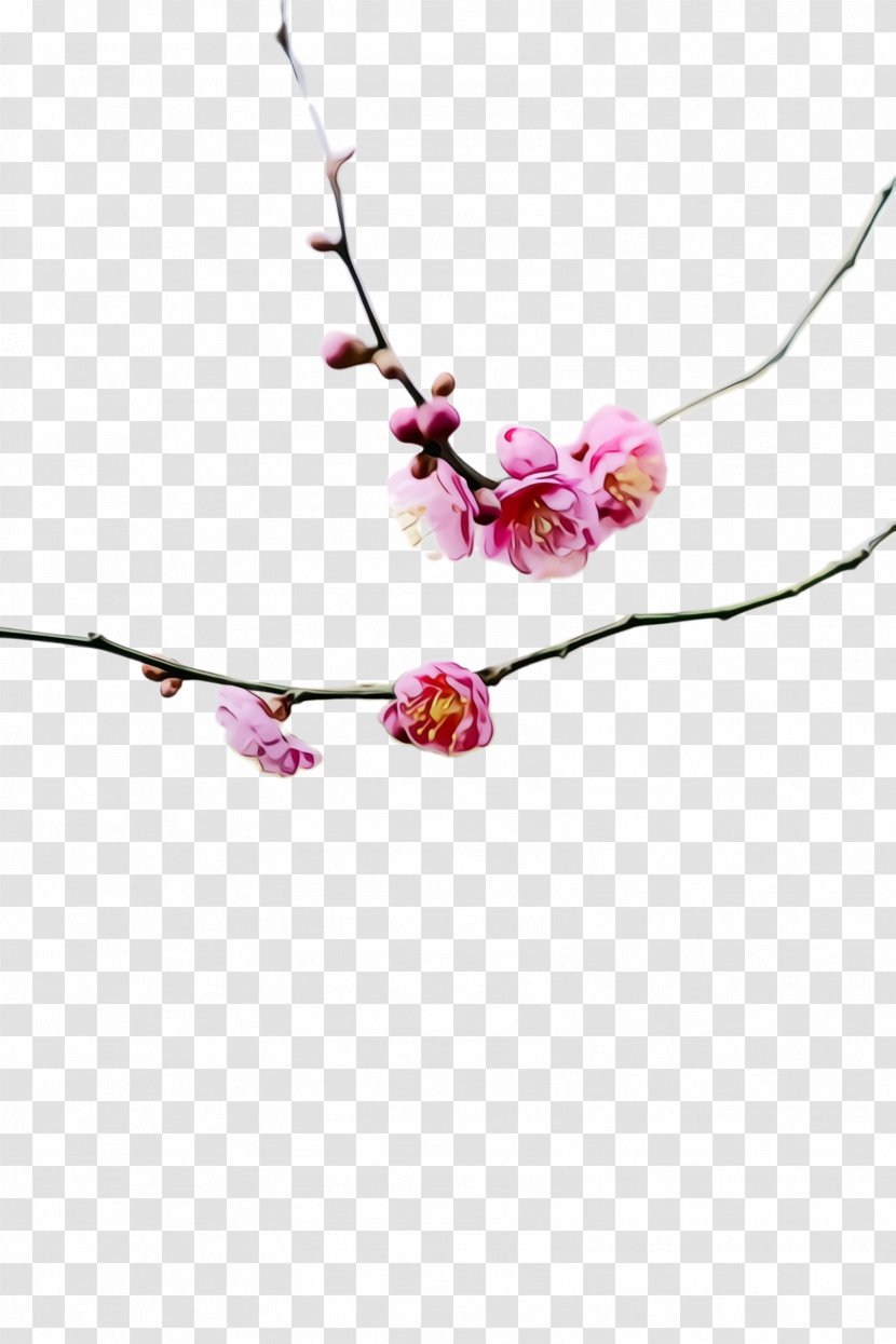 Cherry Blossom - Twig Fashion Accessory Transparent PNG