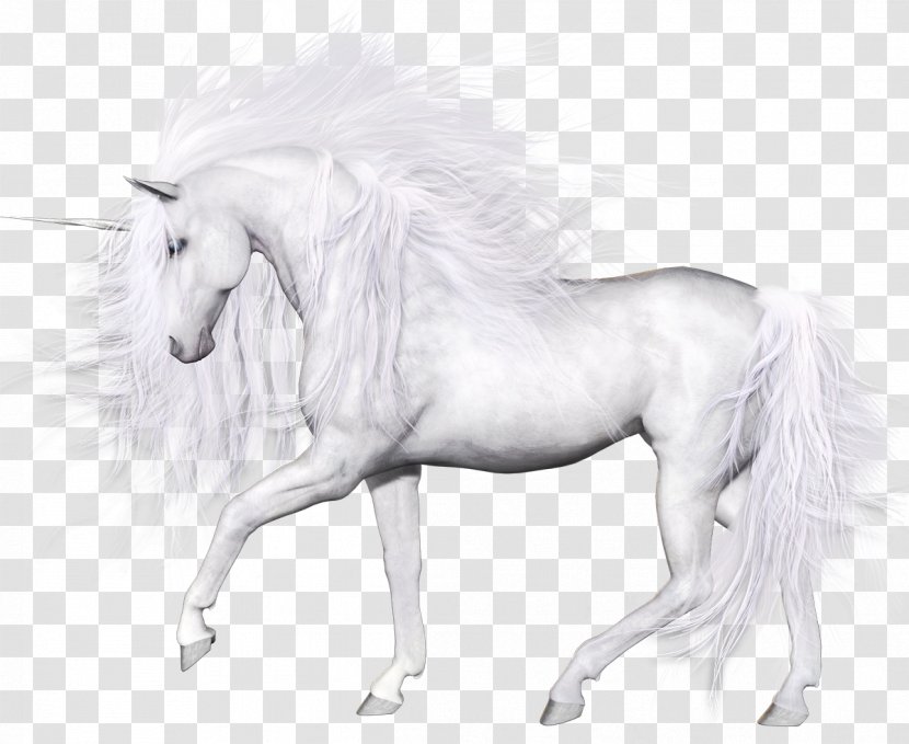 Horse Unicorn Transparency And Translucency Pegasus - Black White Transparent PNG