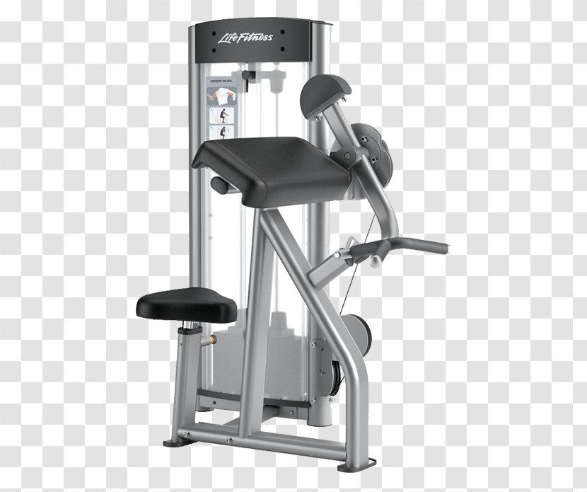 Biceps Curl Exercise Equipment Fitness Centre Smith Machine - Leg Transparent PNG