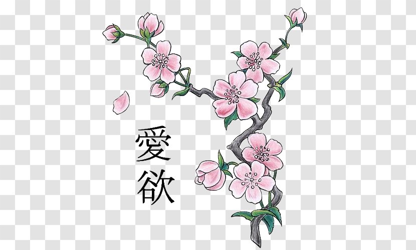 Cherry Blossom Drawing - Art Transparent PNG
