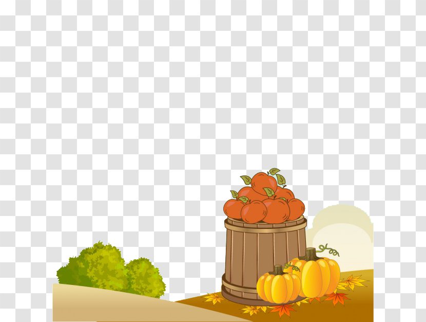 Cucurbita Pepo Pumpkin Autumn Harvest - Fruit Transparent PNG