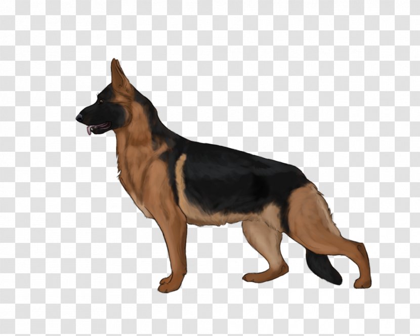 German Shepherd Kunming Wolfdog King Dog Breed Puppy - Kennel Club Transparent PNG