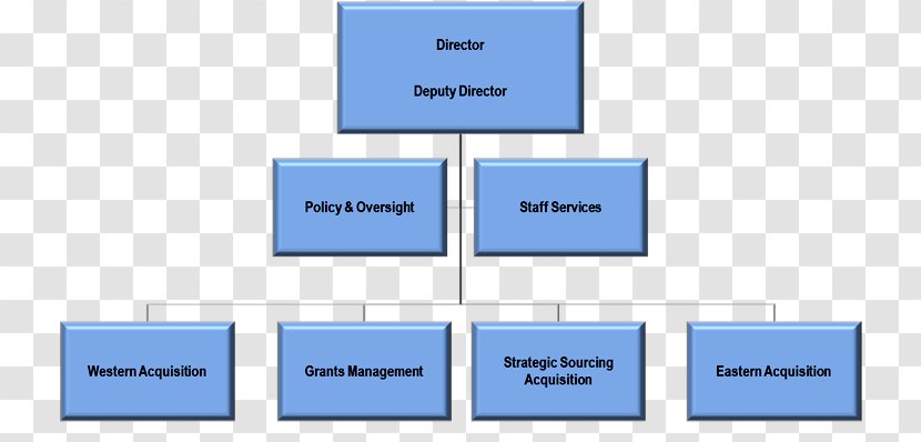 Organizational Chart Structure Small Business - Text - Organization Transparent PNG