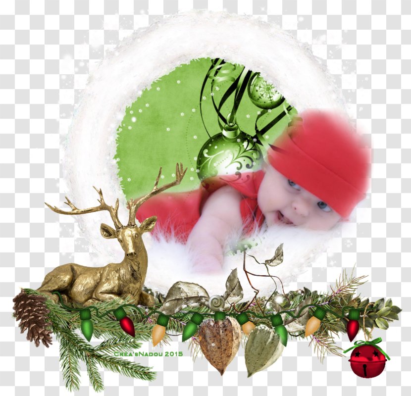 Reindeer Christmas Ornament Tree Infant Transparent PNG