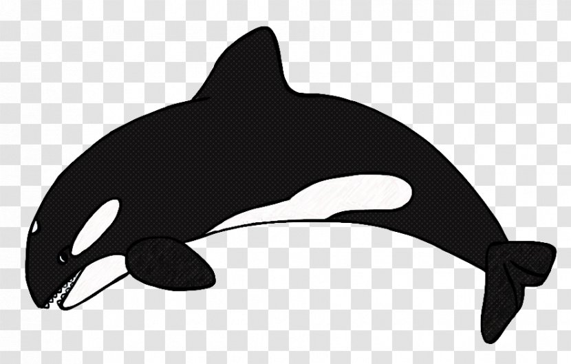 Killer Whale Marine Mammal Dolphin Cetacea Bottlenose - Animal Figure Transparent PNG