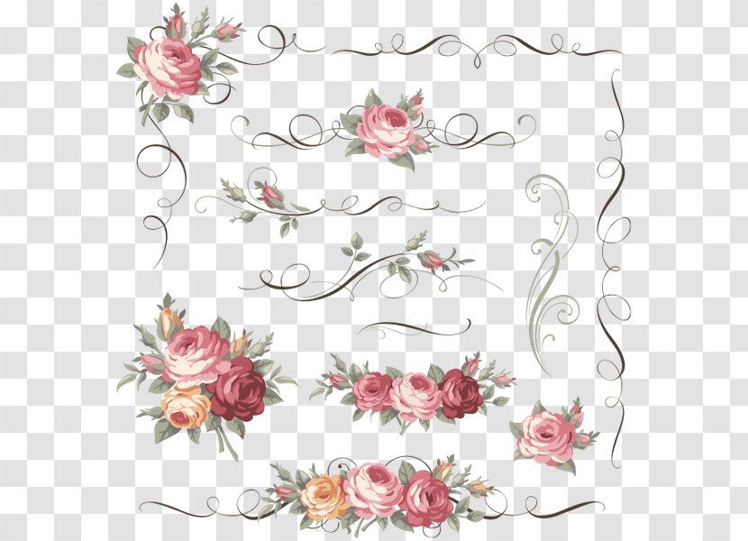 Floral Design Flower Royalty-free - Drawing Transparent PNG