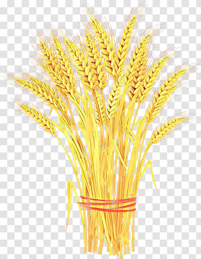 Wheat Clip Art Vector Graphics Sheaf Cereal - Stock Photography Transparent PNG