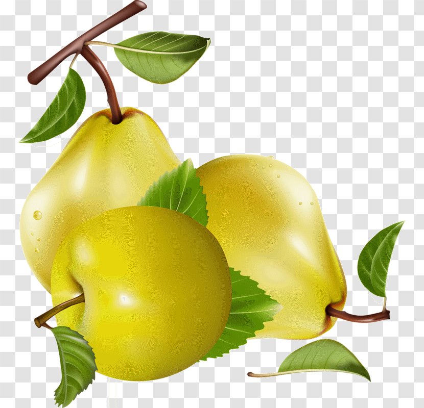 Juice Pear Fruit Clip Art Berries - Vegetable Transparent PNG