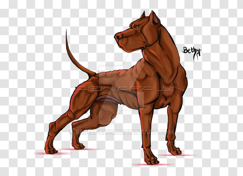 Dog Breed Snout Cartoon - Organism Transparent PNG