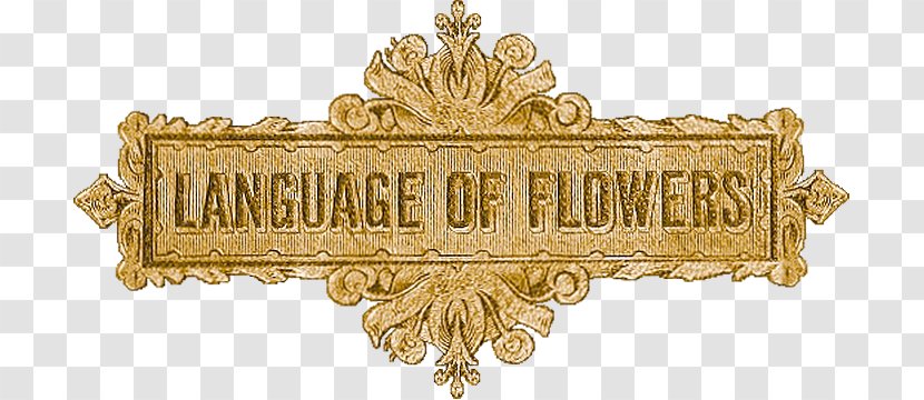 Victorian Era A Flower Dictionary: The Language Of Flowers Companion Teleflora - Gold - Title Transparent PNG