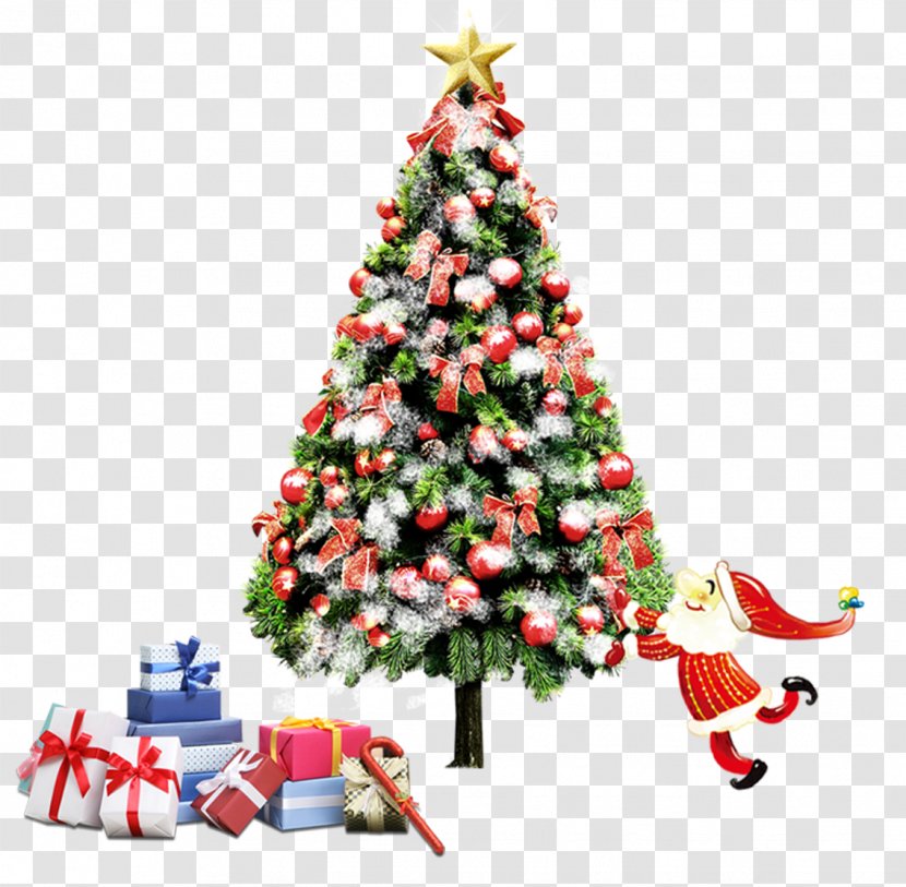 Santa Claus Christmas Tree Decoration Ornament - Pine Family - Ornaments Hanging Transparent PNG