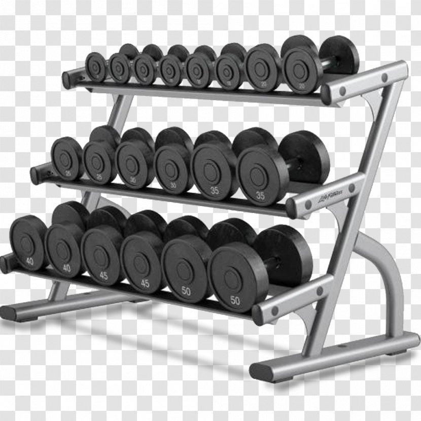 Dumbbell Exercise Equipment Life Fitness Centre Smith Machine - Weights Transparent PNG