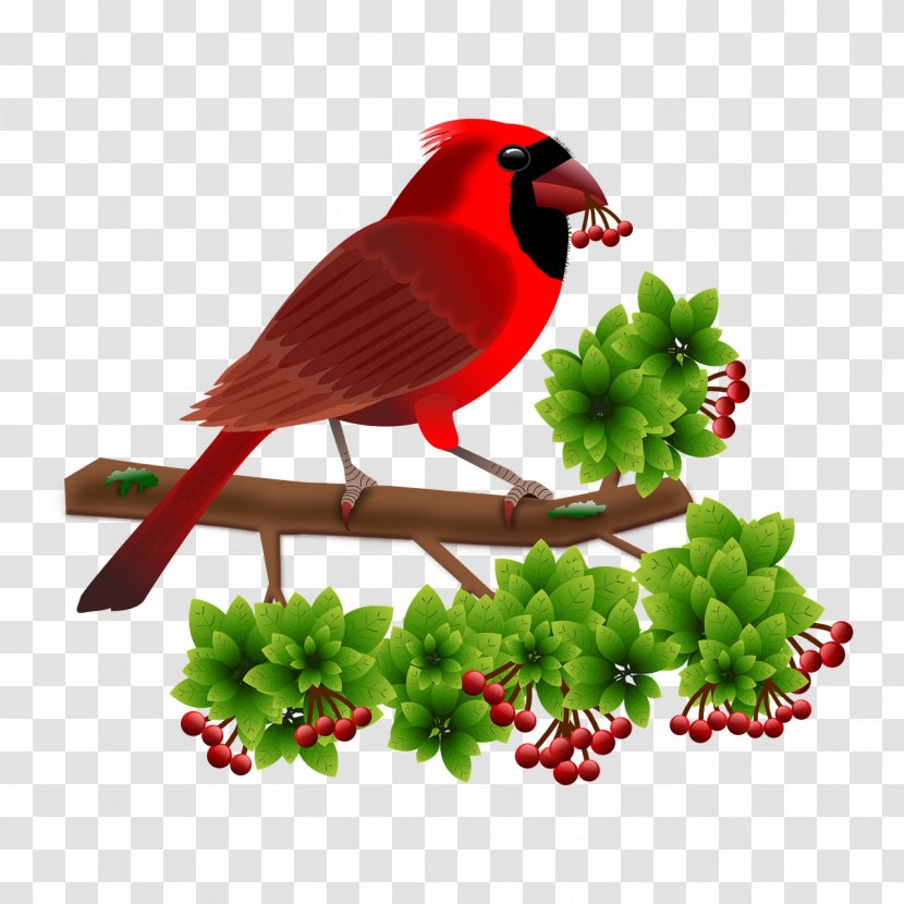 Bird Android - Christianity Transparent PNG