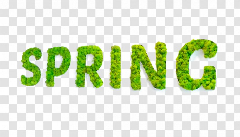 Logo Brand Font Product Text Messaging - Grass - Spring Green Transparent PNG