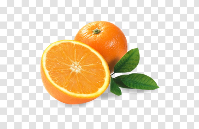 Orange Juice Smoothie Lemon Bitter - Food Transparent PNG