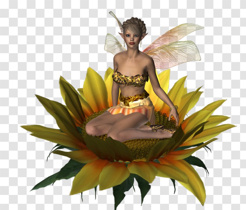 Chroma Key Fairy Elf Clip Art - Photography - Birth Transparent PNG