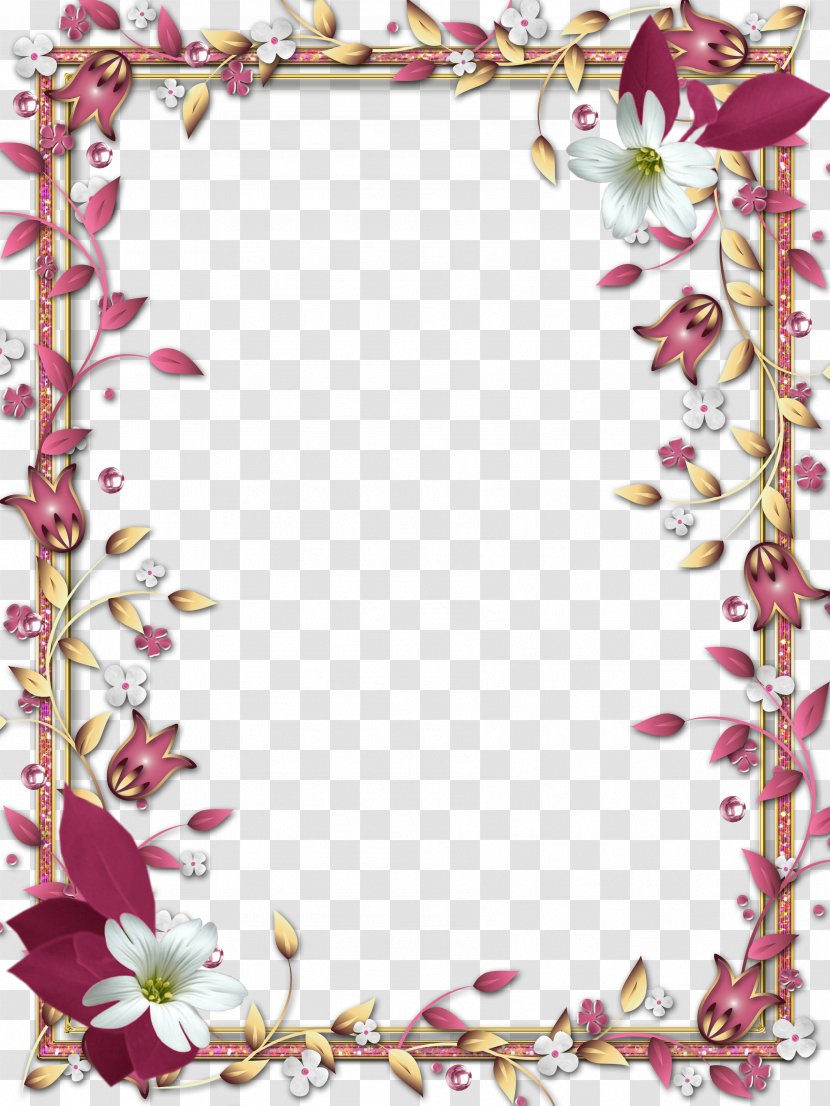 Photography Flower Picture Frames - Hair Accessory Transparent PNG