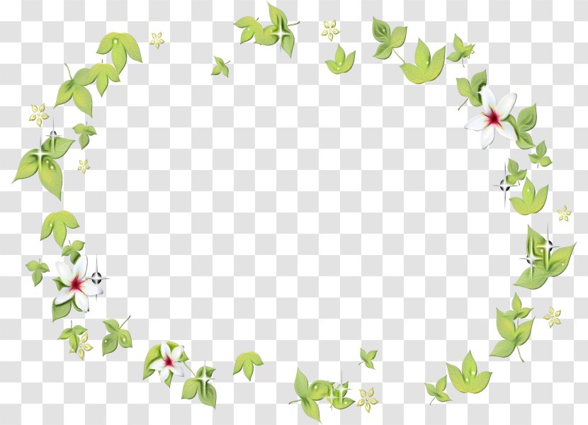 Flower Drawing - Petal - Plant Leaf Transparent PNG