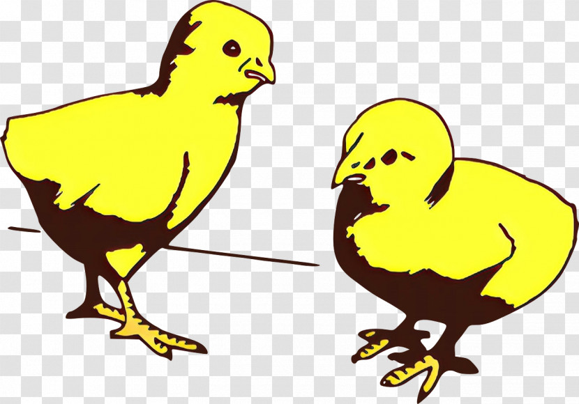 Bird Yellow Beak Chicken Cartoon Transparent PNG