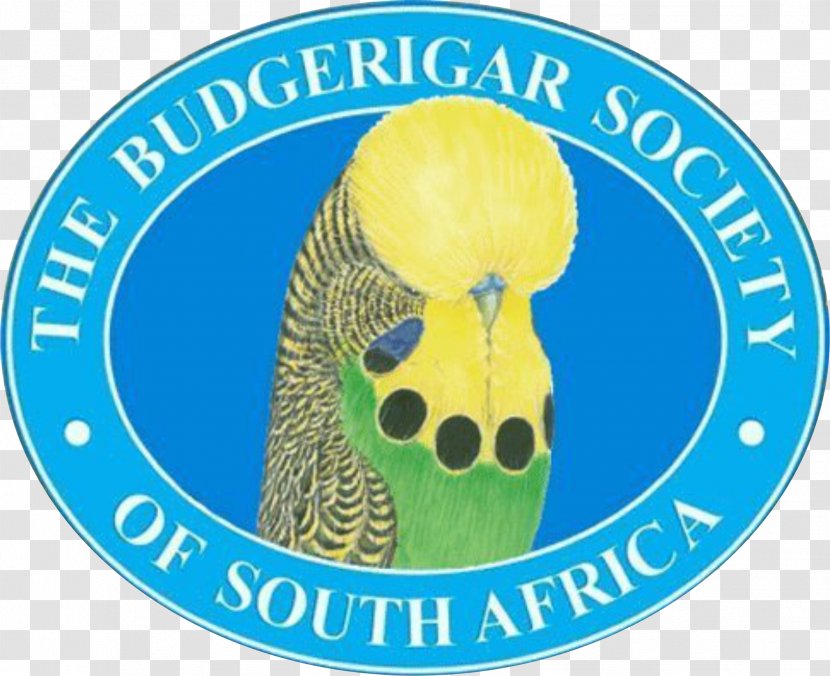 Budgerigar Logo Product Bird Font Transparent PNG