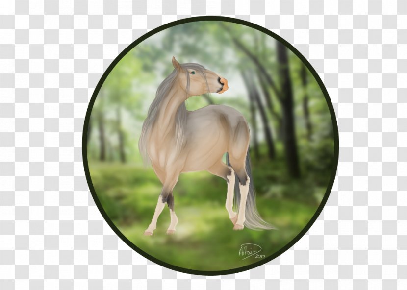 Mustang Fauna Freikörperkultur Yonni Meyer Sadio Mané - Deep Forest Transparent PNG