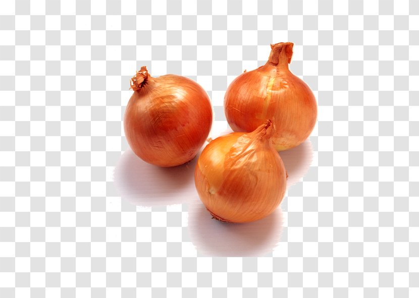 Borscht Onion Pickled Cucumber Vegetable Garlic - Ingredient - Gold Transparent PNG