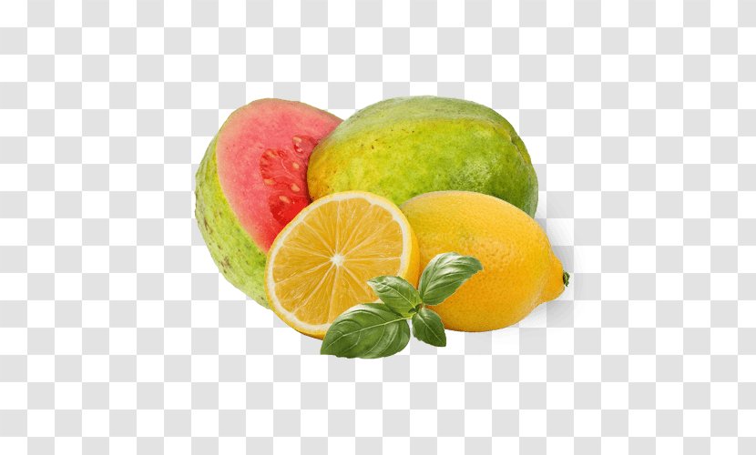 Lime Organic Food Sweet Lemon Guava - Citron Transparent PNG