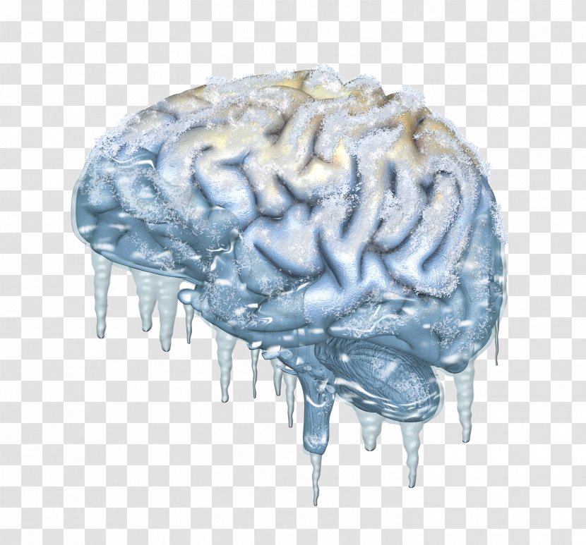 Cold-stimulus Headache Brain Stock Photography Cryonics Royalty-free - Cartoon - Icicles Transparent PNG