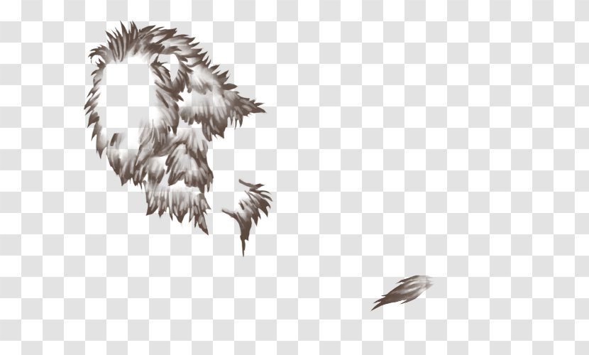 Bird Feather Drawing Beak Budgerigar - Ear Tuft Transparent PNG