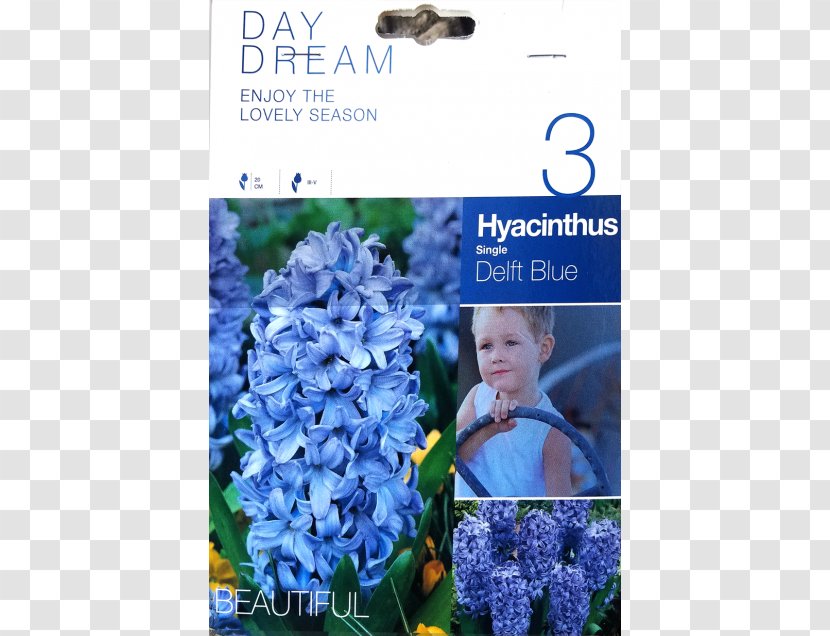 Bluebonnet English Lavender Flora Text Book - Delphinium Transparent PNG