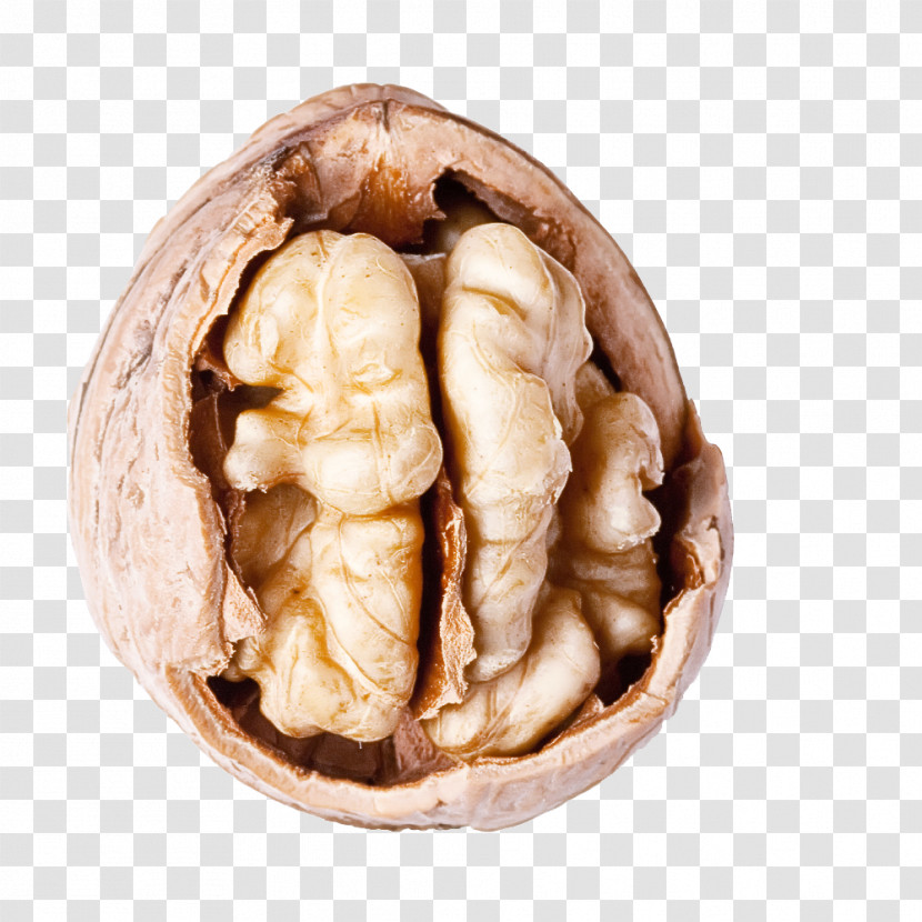 Walnut Nut Food Ginger Plant Transparent PNG