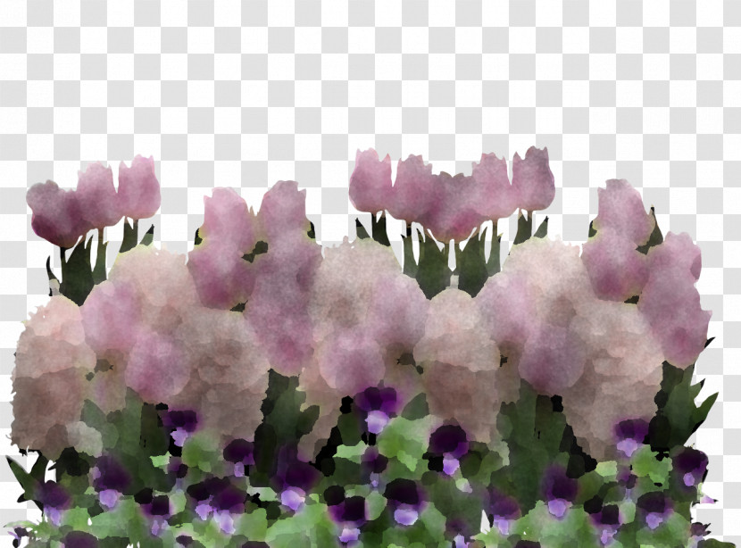 Lavender Transparent PNG