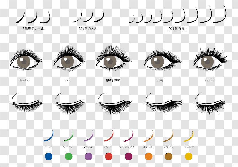 Eyelash Extensions Beauty Parlour Artificial Hair Integrations Fashion - Cartoon Transparent PNG