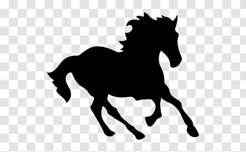 Horse Equestrian - Wild Vector Transparent PNG