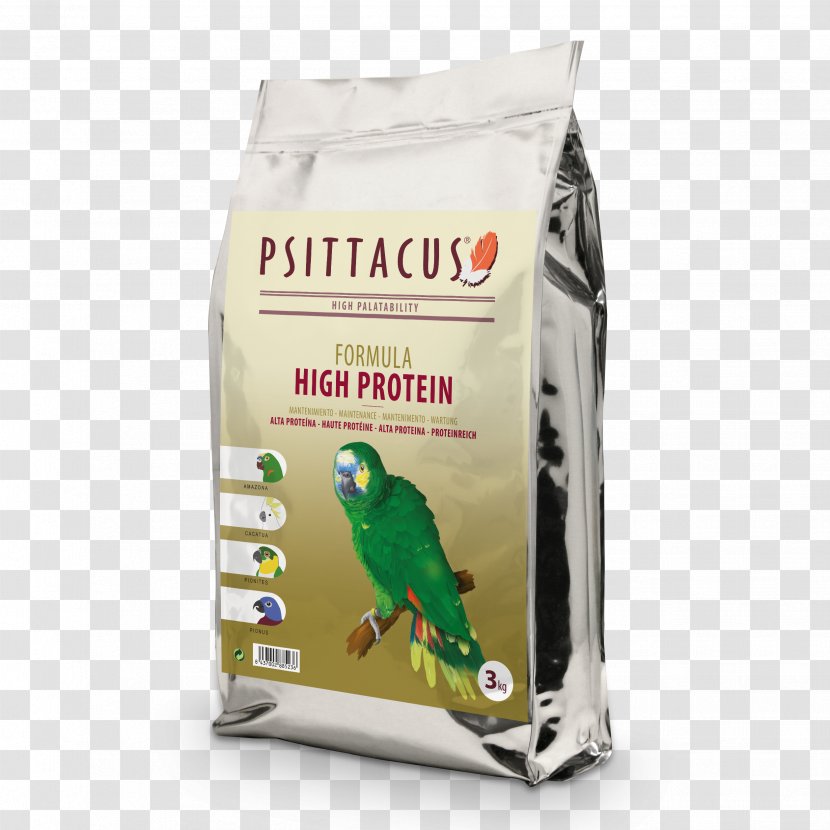 Amazon Parrot Bird Formula 1 Parrots - High Protein Transparent PNG