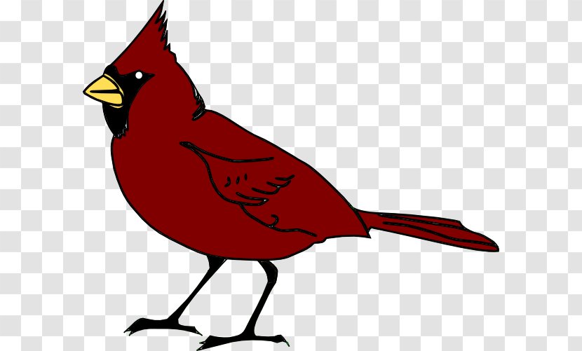 Bird Free Content Northern Cardinal Clip Art - Red - Transparent Cliparts Transparent PNG