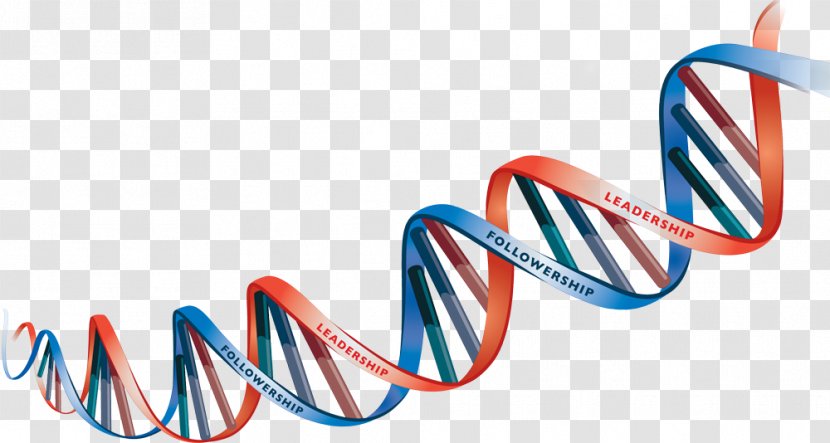 DNA Heredity Clip Art - Electric Blue - Dna Vector Transparent PNG