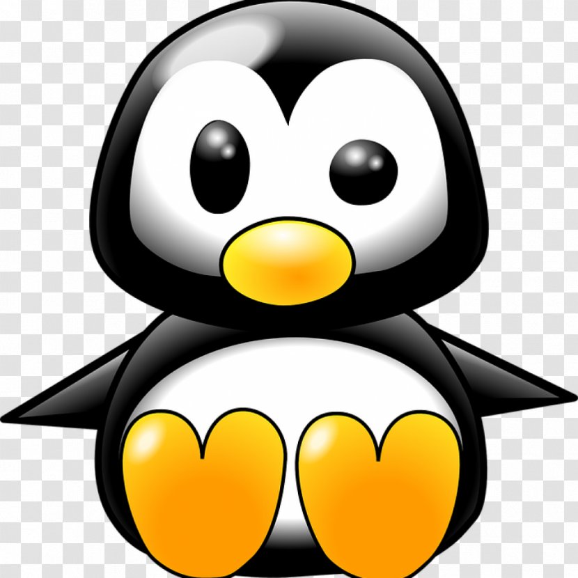 Penguin Clip Art Vector Graphics Image Drawing - Beak - Pinguin Transparent PNG