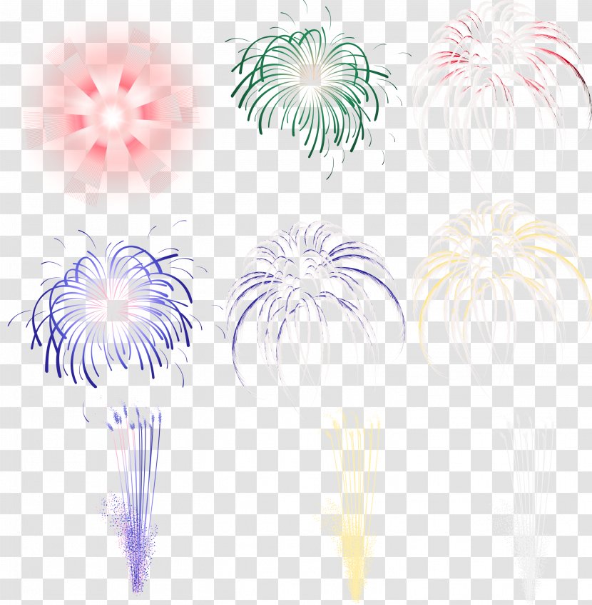 Pyrotechnics Light Fireworks - Flower - Maximo Transparent PNG